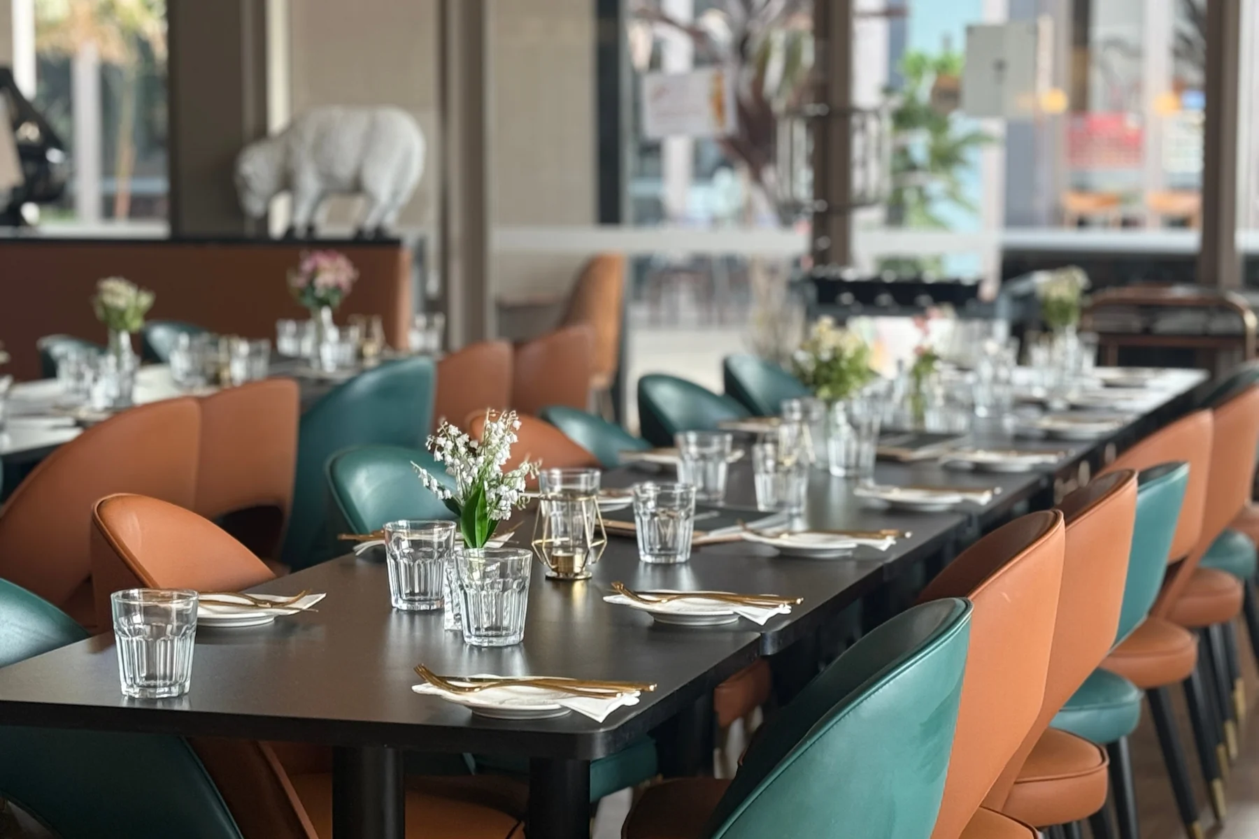 Little Lamb Burp (7)